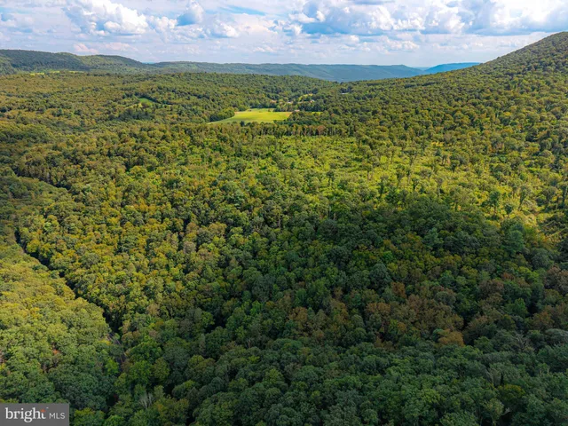 a view of an ocean and a yard