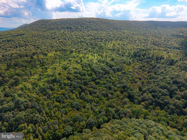 a view of an ocean and a yard