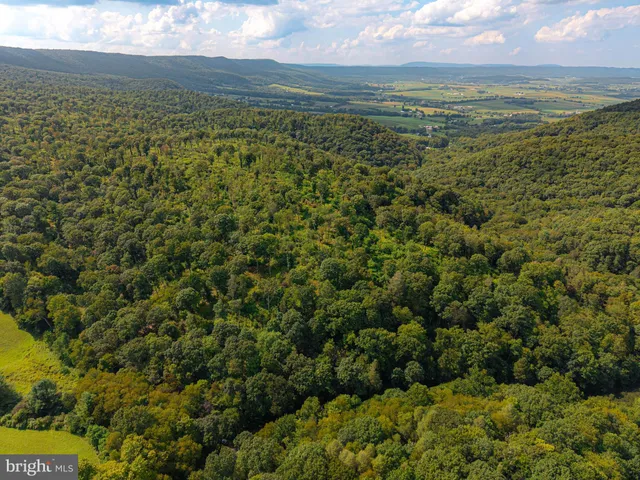 a view of mountain with trees