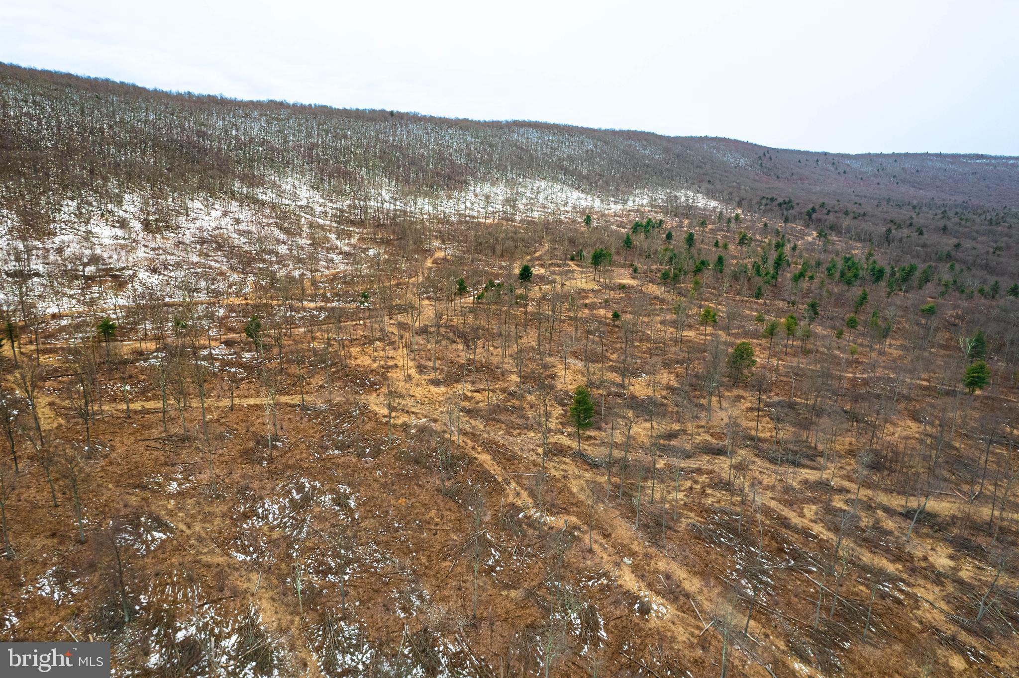Church View Road New Enterprise, PA 16664 - Photo 24 of 43 a view of mountain with trees