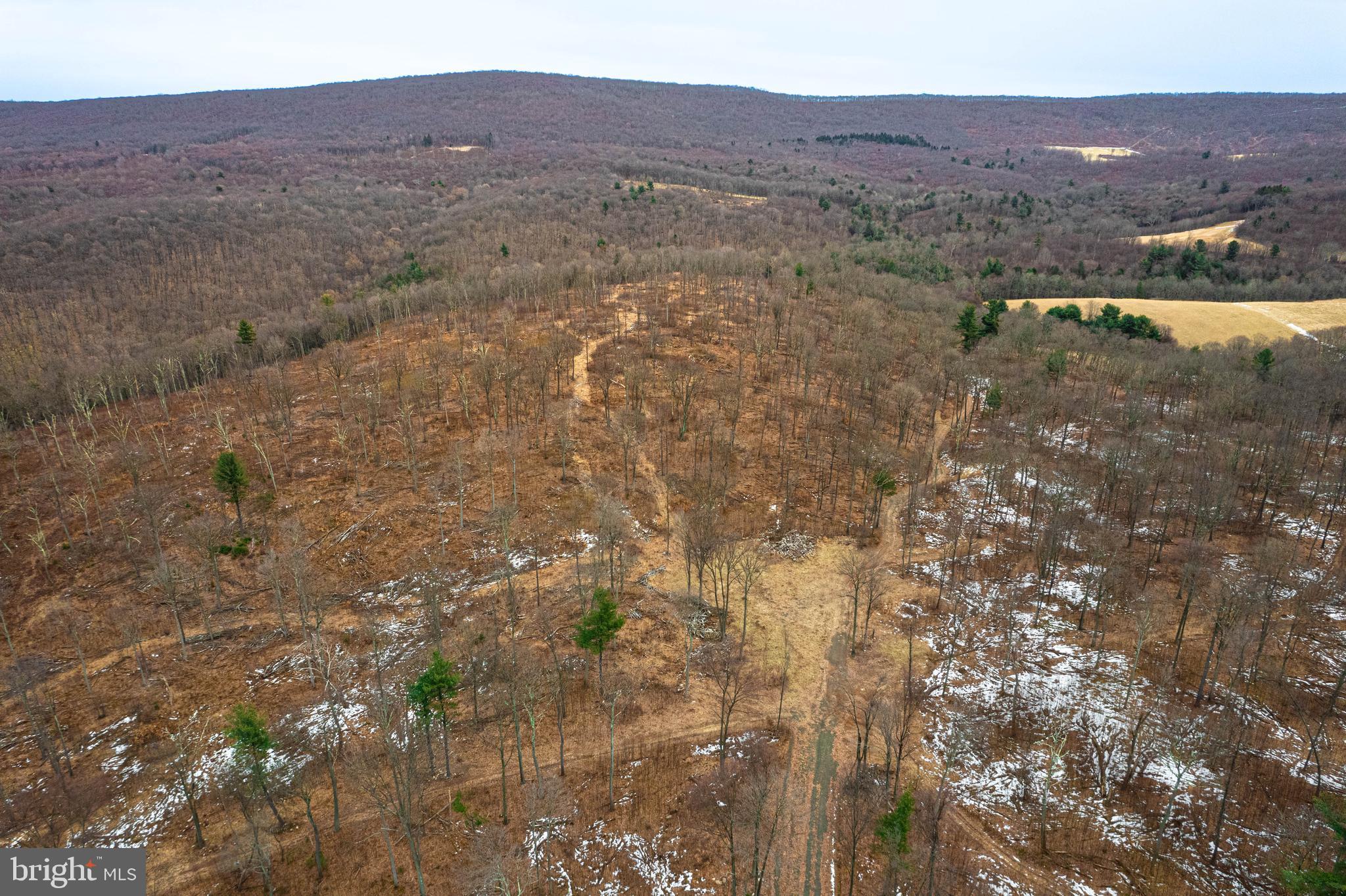 Church View Road New Enterprise, PA 16664 - Photo 25 of 43 a view of a lake in middle of forest