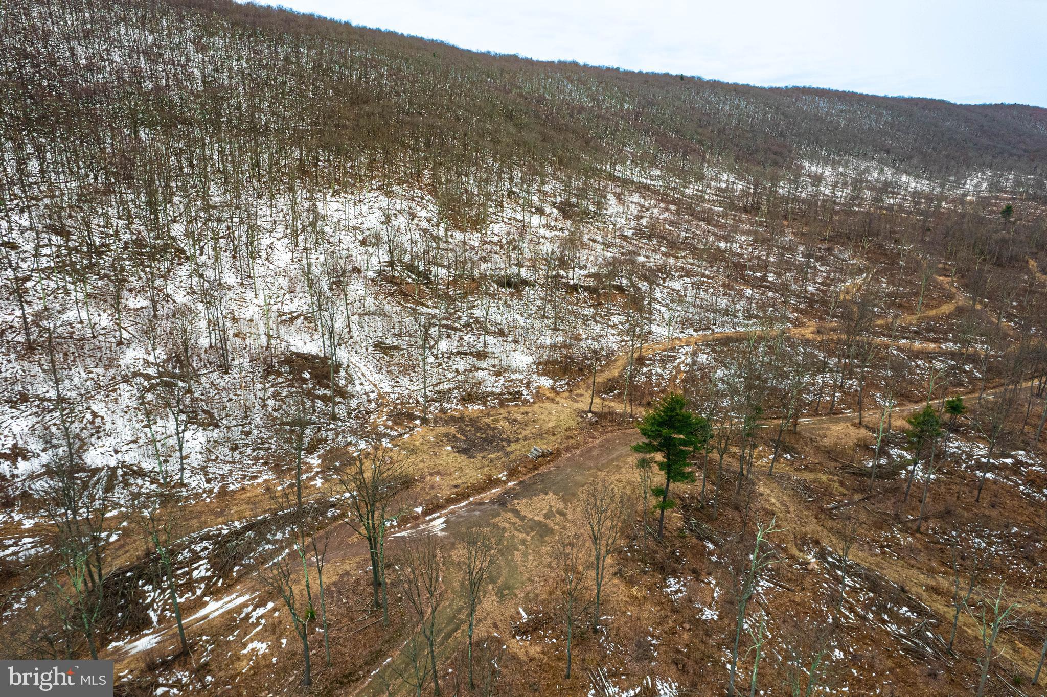 Church View Road New Enterprise, PA 16664 - Photo 27 of 43 a view of mountain with yard