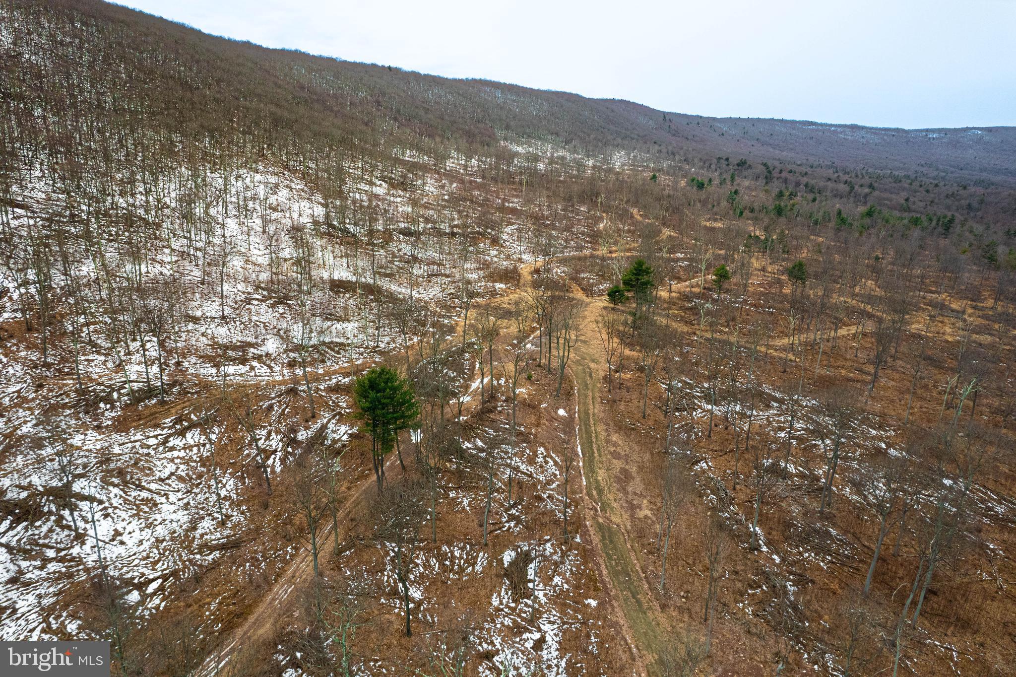 Church View Road New Enterprise, PA 16664 - Photo 28 of 43 a view of a large tree