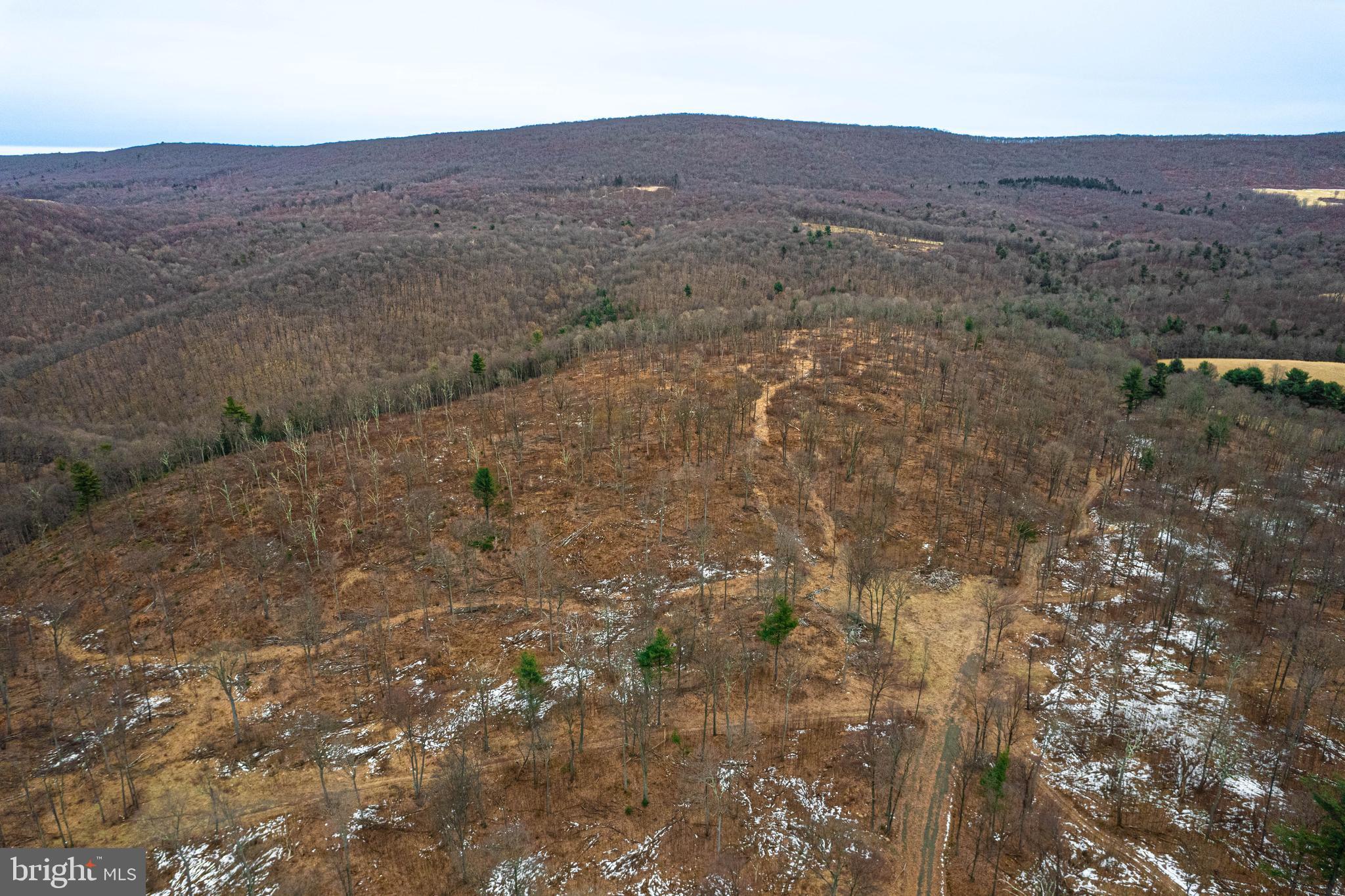 Church View Road New Enterprise, PA 16664 - Photo 29 of 43 a view of a dry field