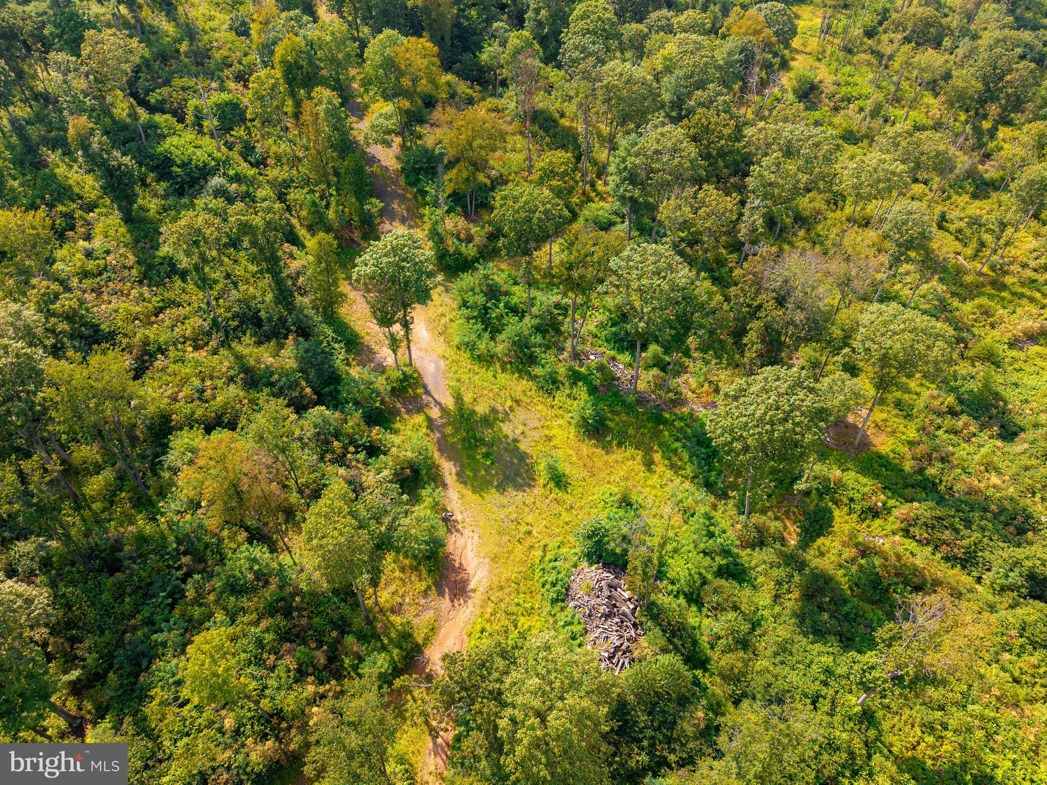 Church View Road New Enterprise, PA 16664 - Photo 3 of 43 a view of a tree with a tree in the background
