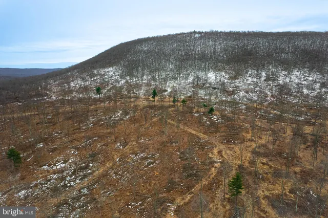 a view of a mountain from a yard