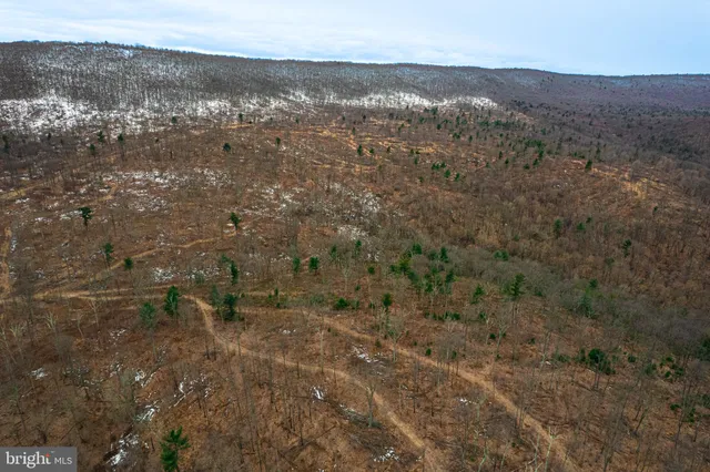 a view of an ocean beach