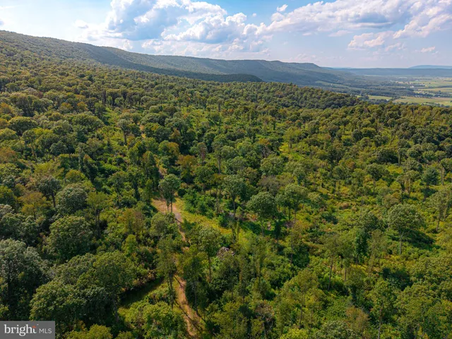 a view of a lake with a flower garden