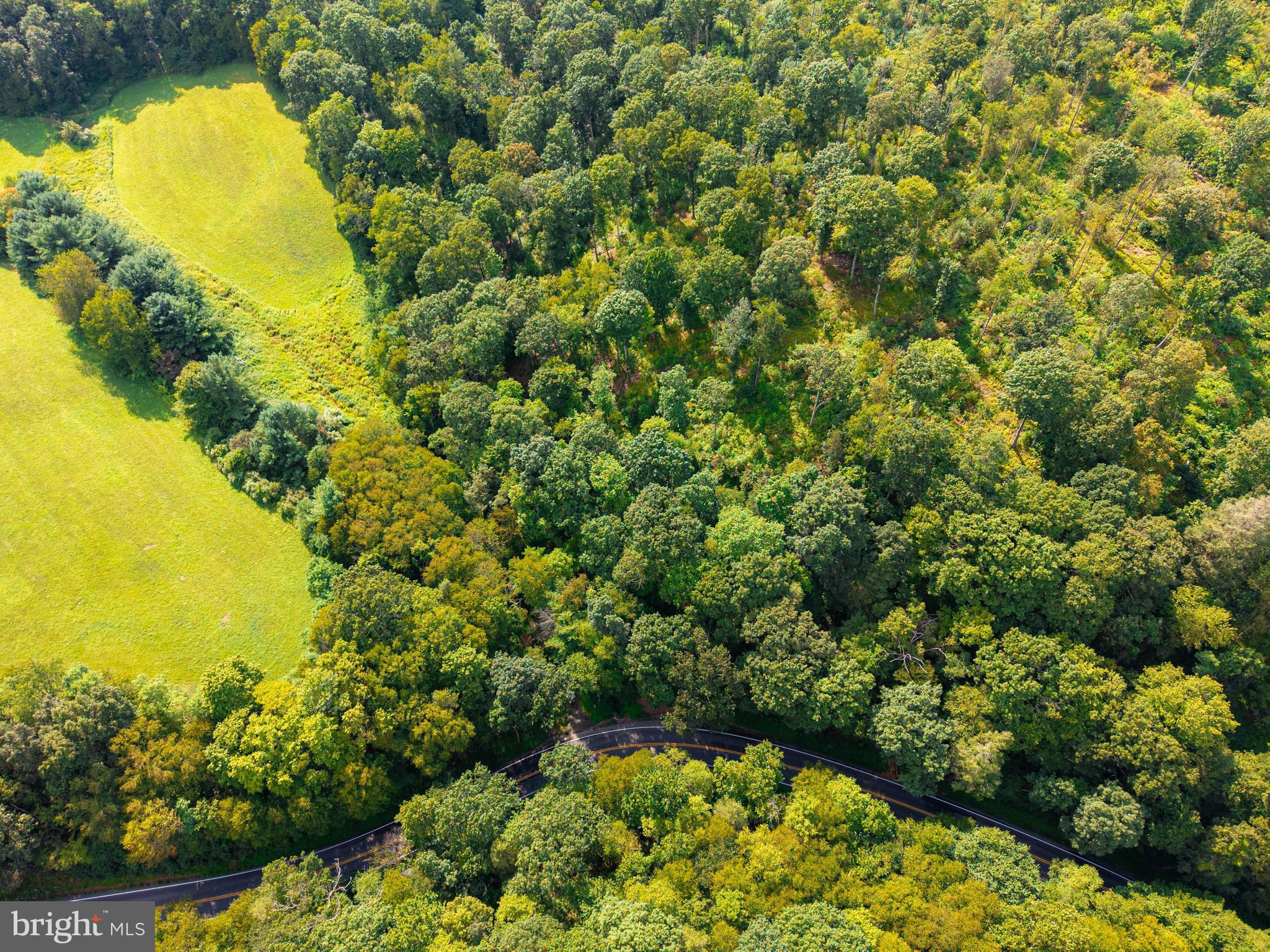 Church View Road New Enterprise, PA 16664 - Photo 5 of 43 a view of a lake with a flower garden