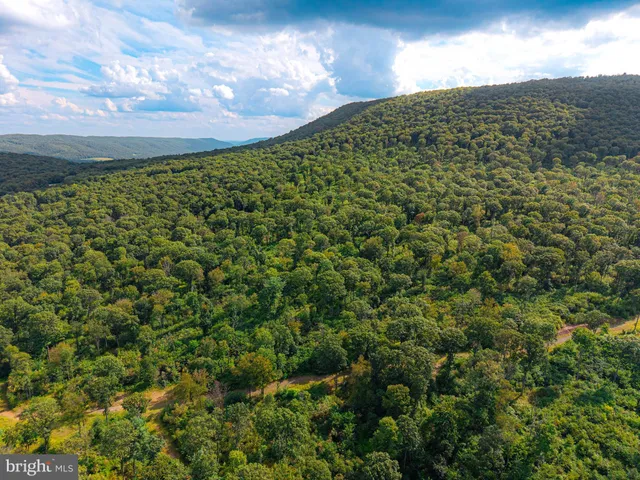 a view of an ocean and beach