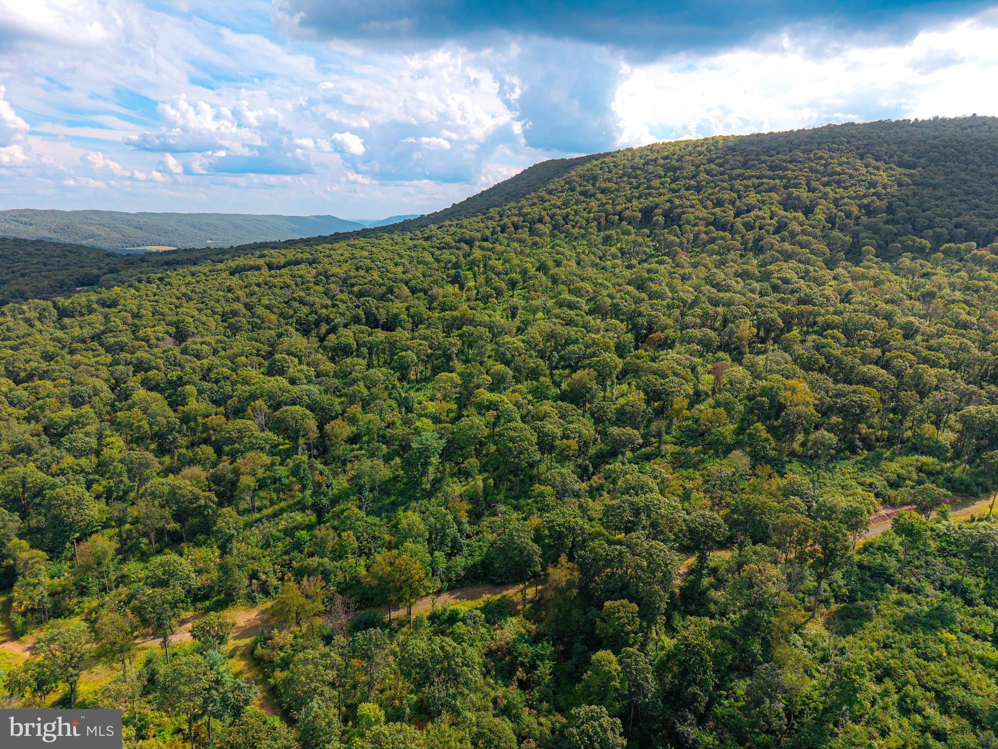 Church View Road New Enterprise, PA 16664 - Photo 6 of 43 a view of a big yard with lots of bushes