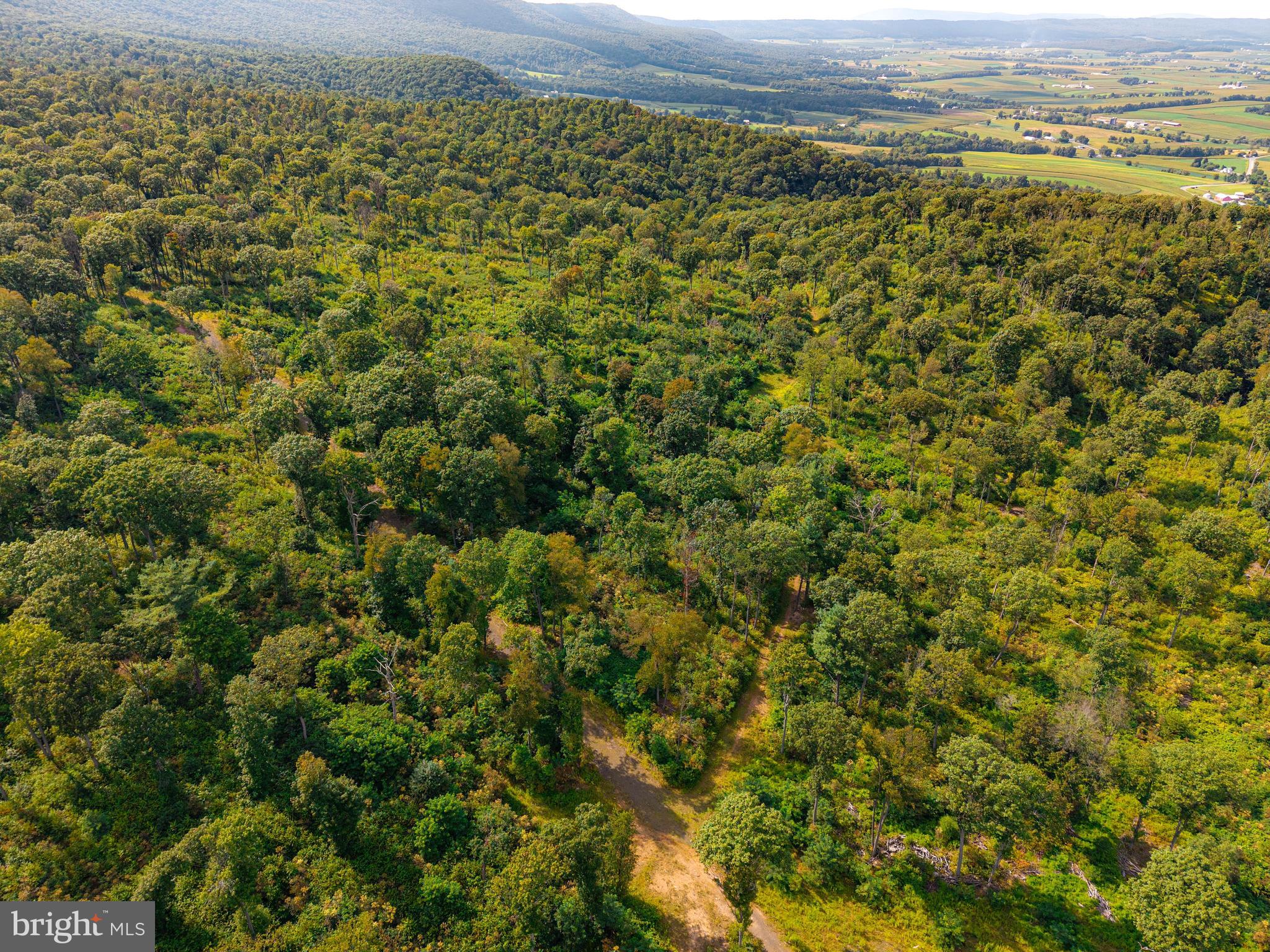 Church View Road New Enterprise, PA 16664 - Photo 7 of 43