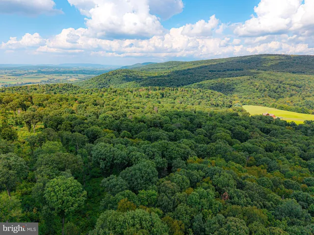 a view of a city with an ocean