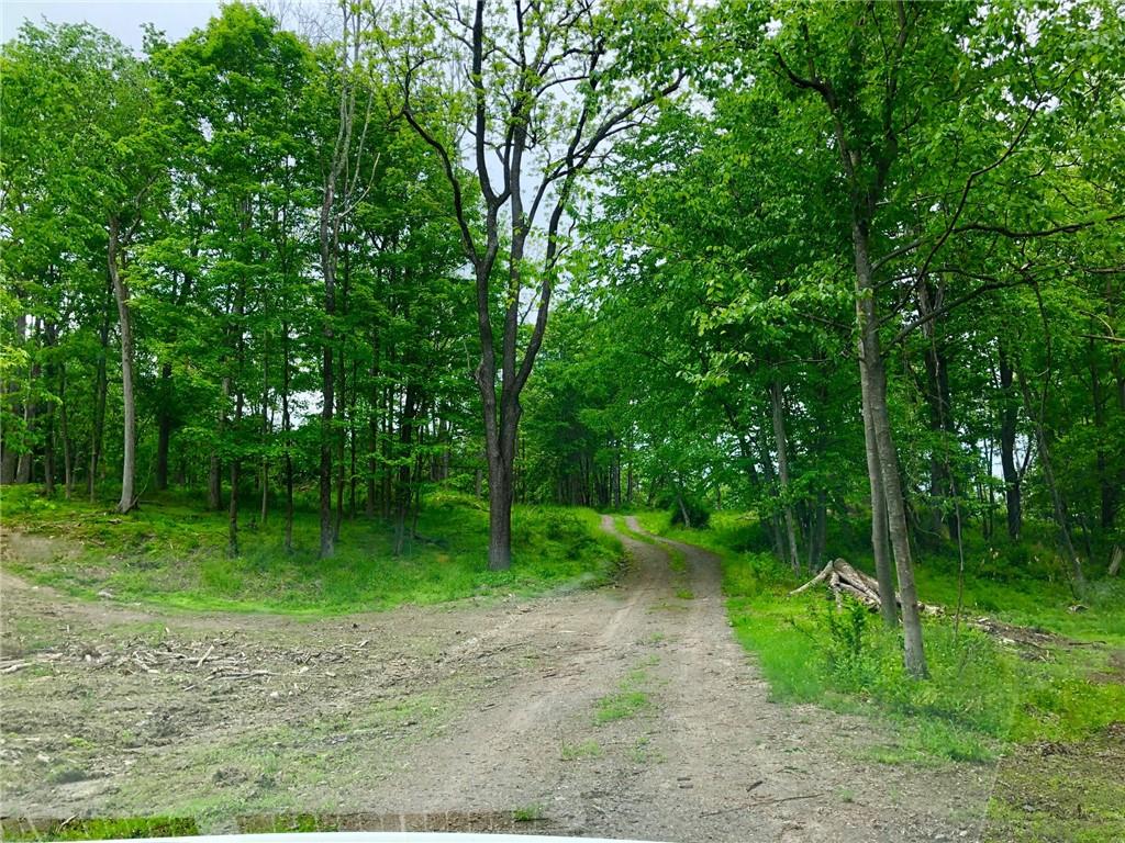 481 Midland Lake Road Middletown, NY 10941 - Photo 1 of 1