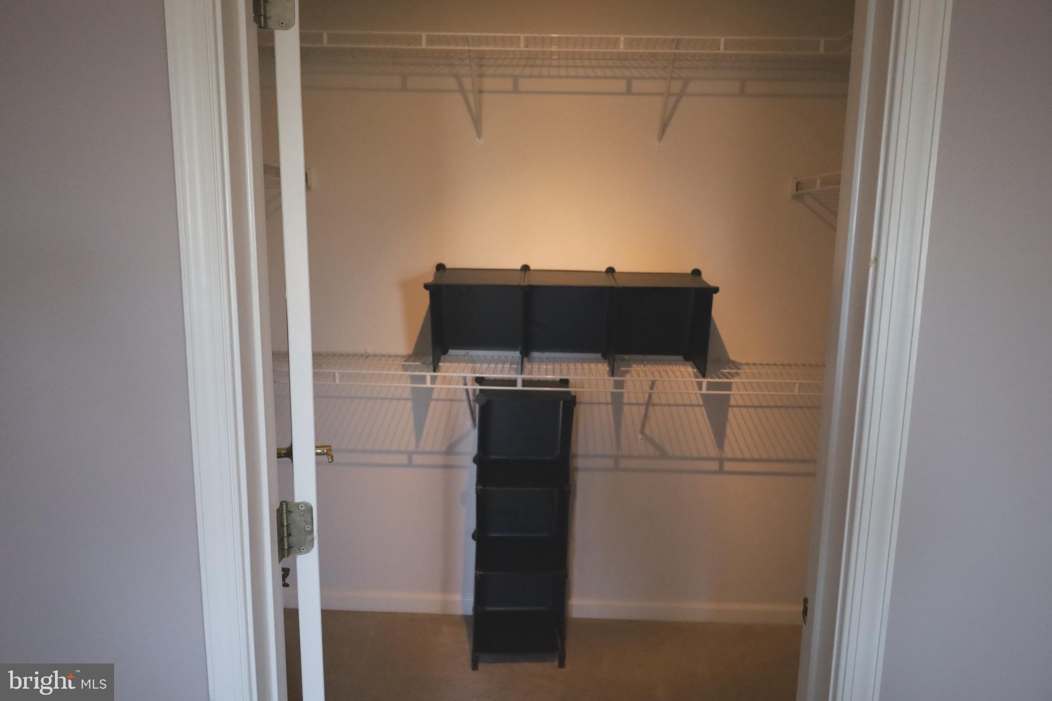 21543 Trowbridge Square Ashburn, VA 20147 - Photo 33 of 60 Primary Closet