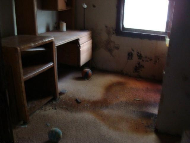 1753 Merrimac Road Benton Harbor, MI 49022 - Photo 4 of 11 Additional Photo