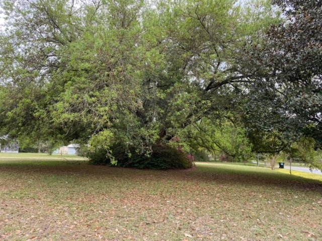 999 Riverview Road Havana, FL 32333 - Photo 6 of 22 Gallery Image 6