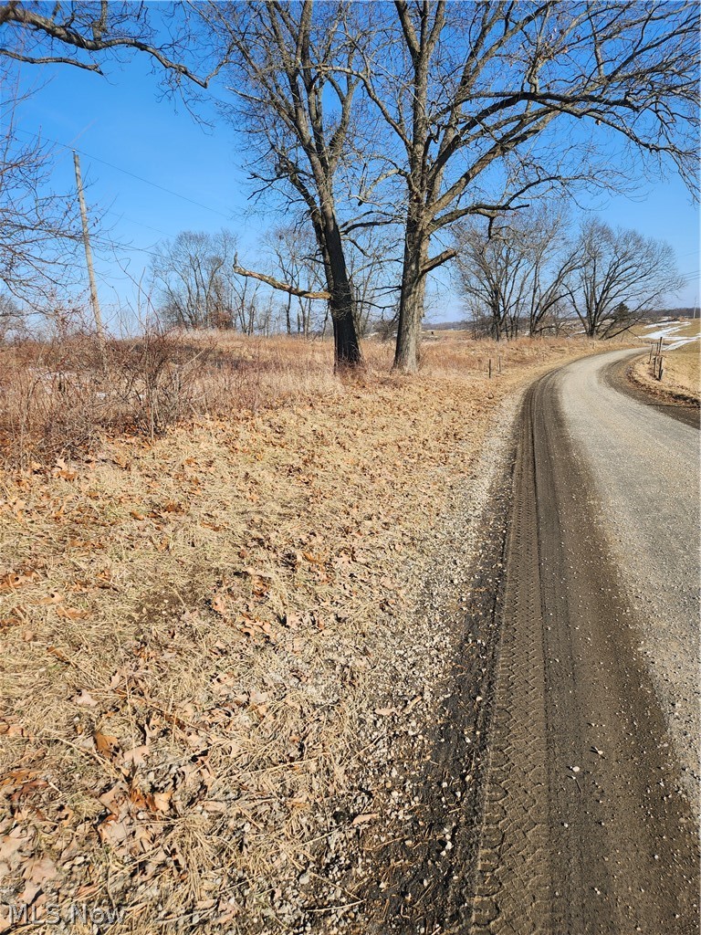 Fostor Road Dresden, OH 43821 - Photo 1 of 25 View of dirt / gravel road with a view of rural / pastoral area