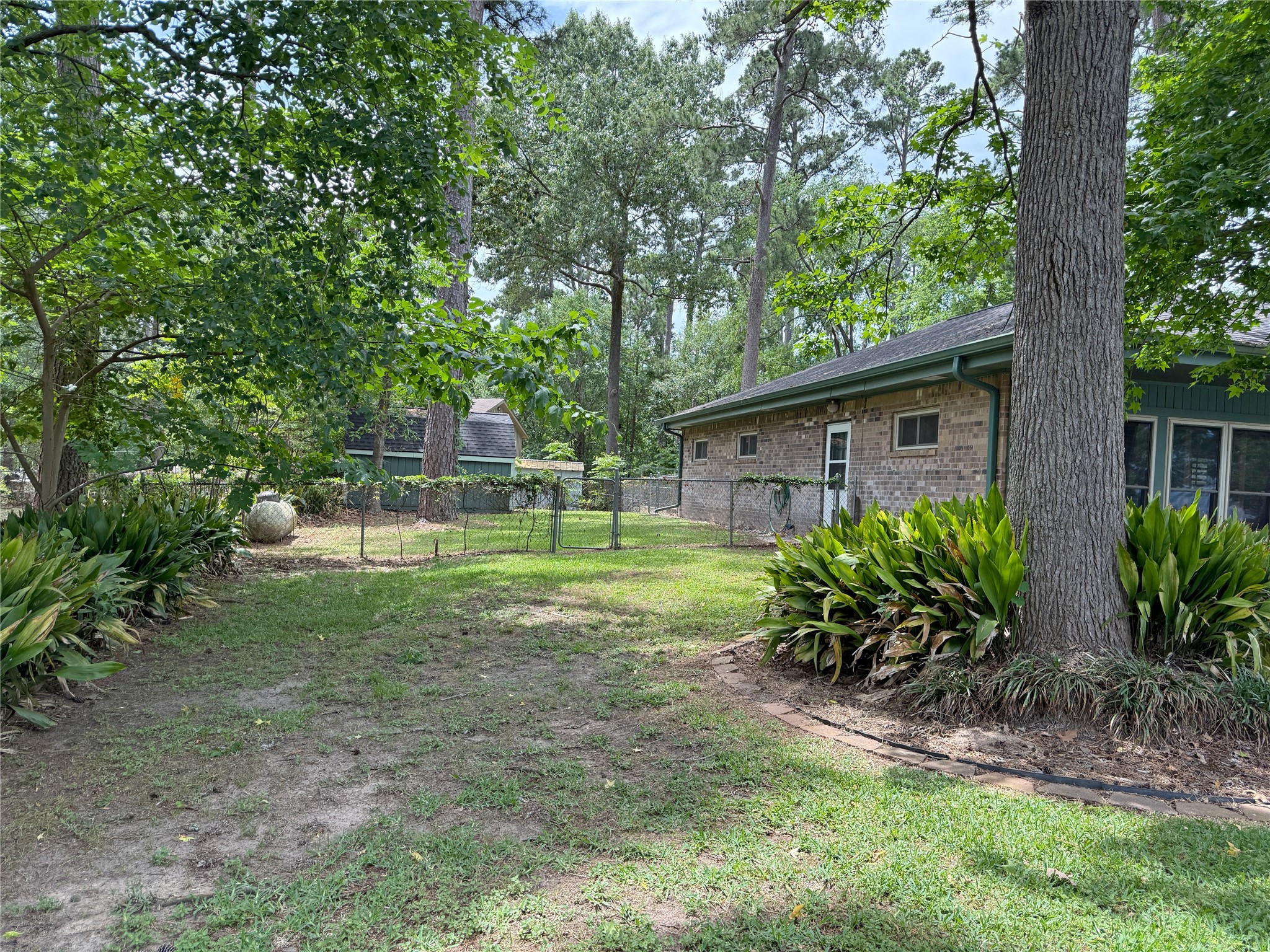 192 Sam Houston Loop Point Blank, TX 77364 - Photo 37 of 42 Left side of the house facing toward the back.