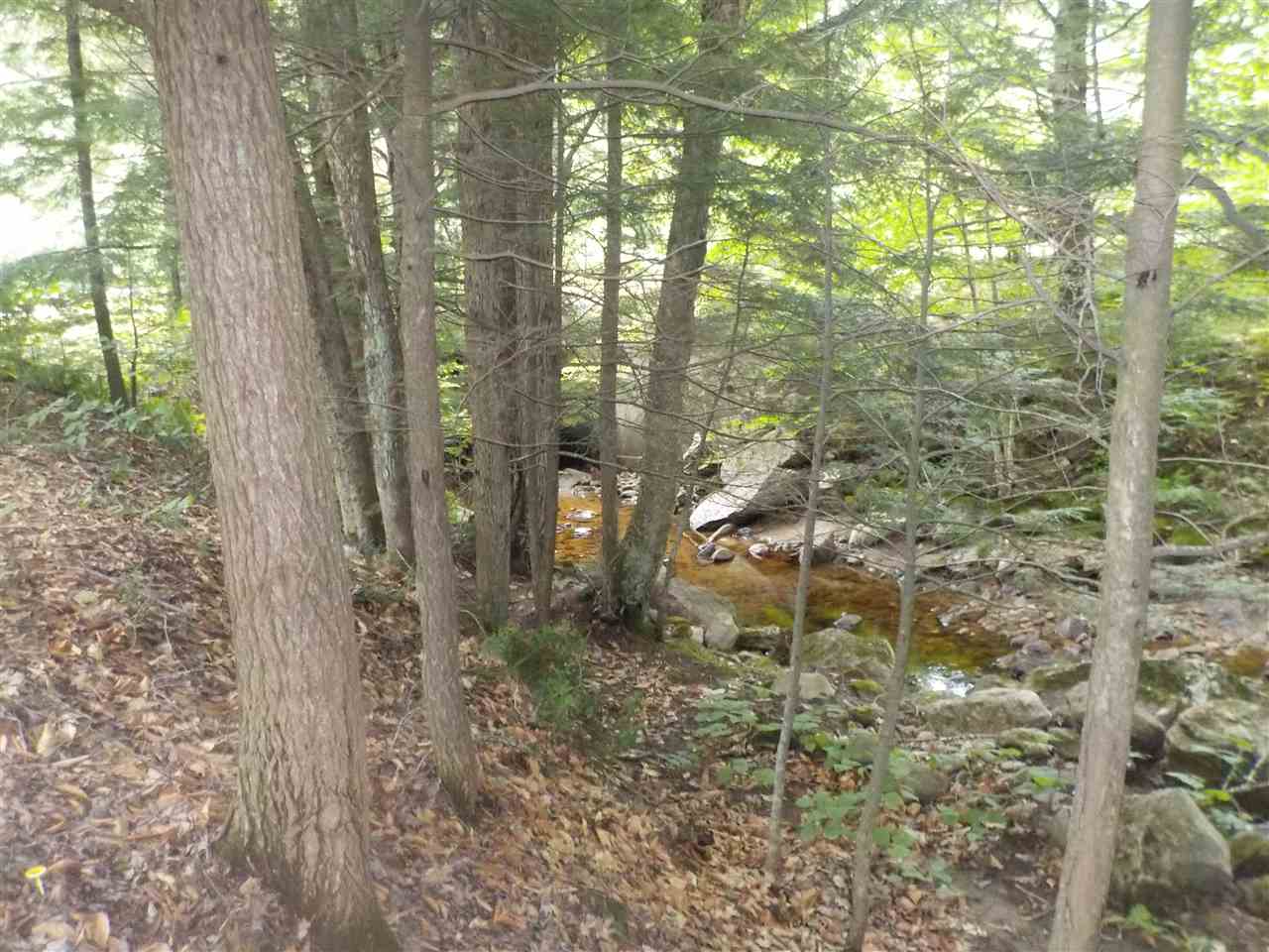 76 Wentworth Road Grafton, NH 03240 - Photo 20 of 21 Gallery Image 20