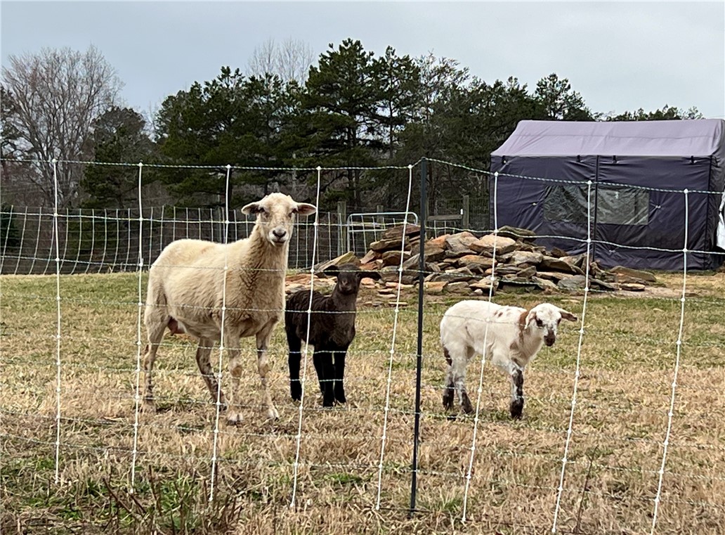 665 Oconee Creek Road Walhalla, SC 29691 - Photo 49 of 50