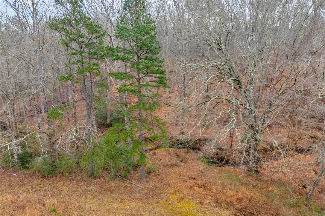 665 Oconee Creek Road Walhalla, SC 29691 - Photo 7 of 48