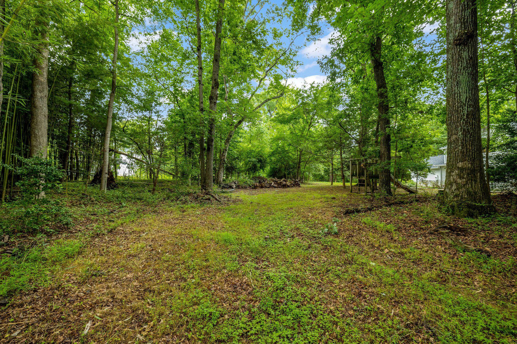 1132 Springvale Road Great Falls, VA 22066 - Photo 72 of 81 Serene 2 acres awaits you.