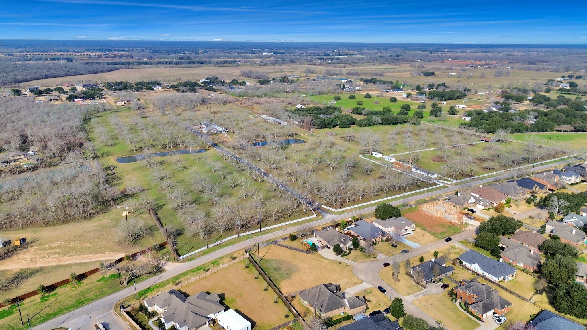 33231 Worthing Lane Fulshear, TX 77441 - Photo 4 of 28