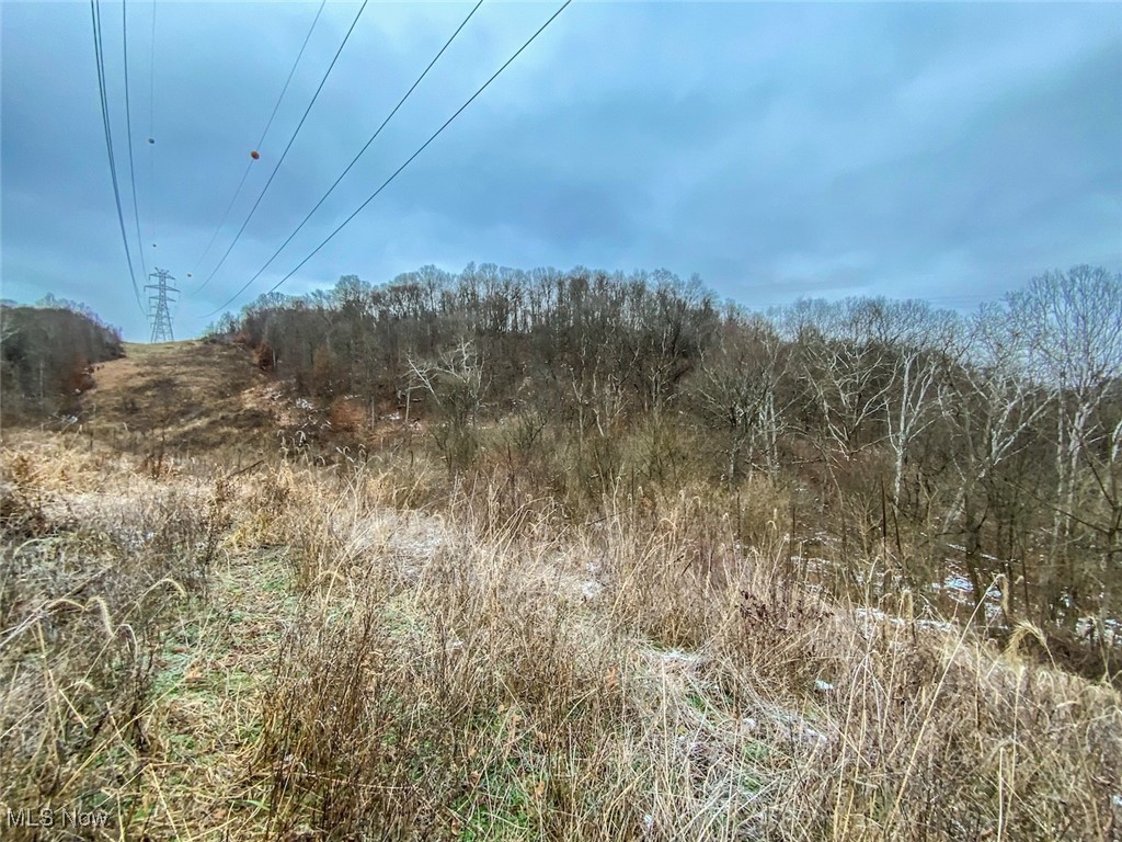 0 Trough Run Road Bellaire, OH 43906 - Photo 21 of 46 View of nature