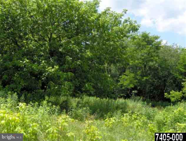 Lot 4 East Springfield Road Seven Valleys, PA 17360 - Photo 4 of 5