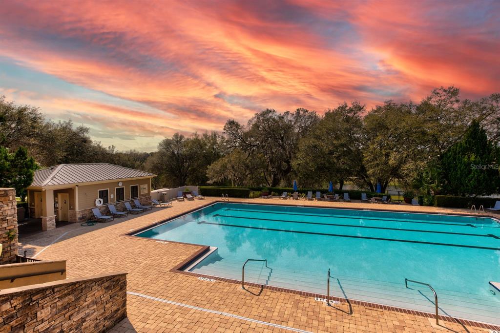 21944 Belgian Court Mount Dora, FL 32757 - Photo 44 of 57 a view of a swimming pool with lawn chairs under an umbrella