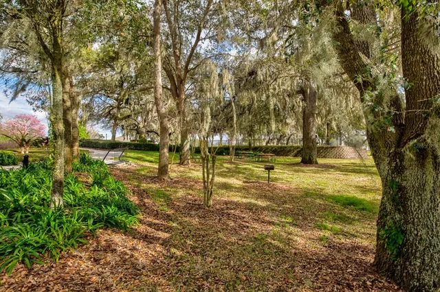 $309,900 | 21944 Belgian Court, Mount Dora, FL 32757