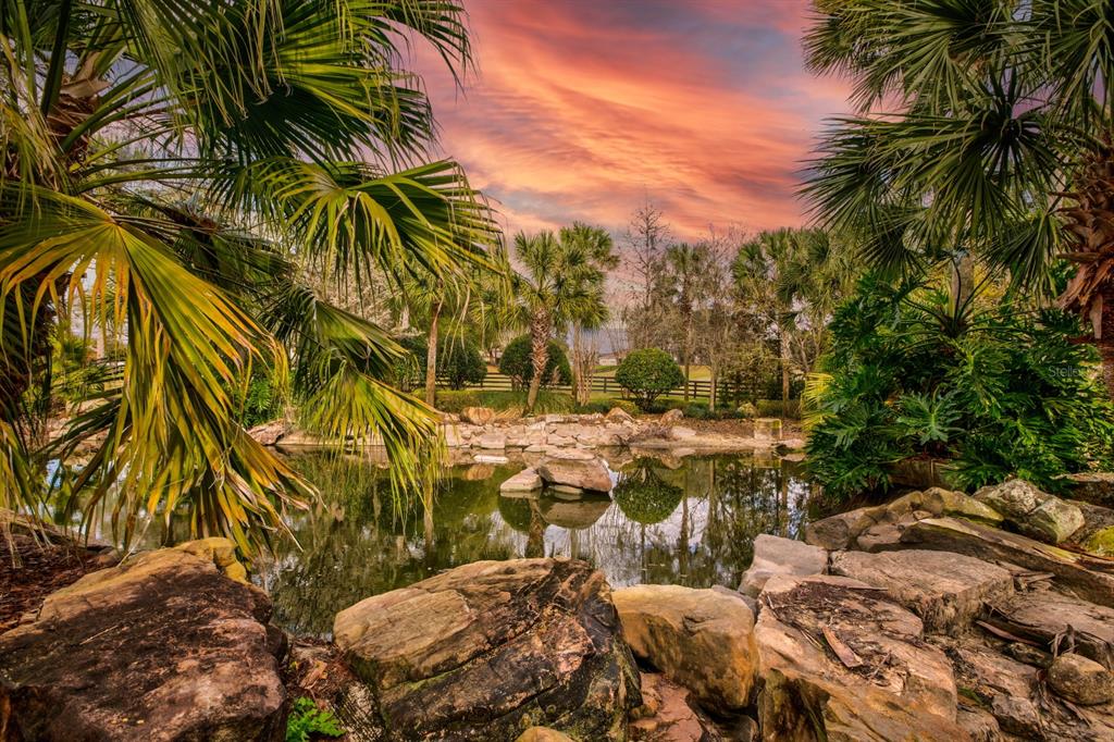21944 Belgian Court Mount Dora, FL 32757 - Photo 55 of 57 a view of outdoor space with garden