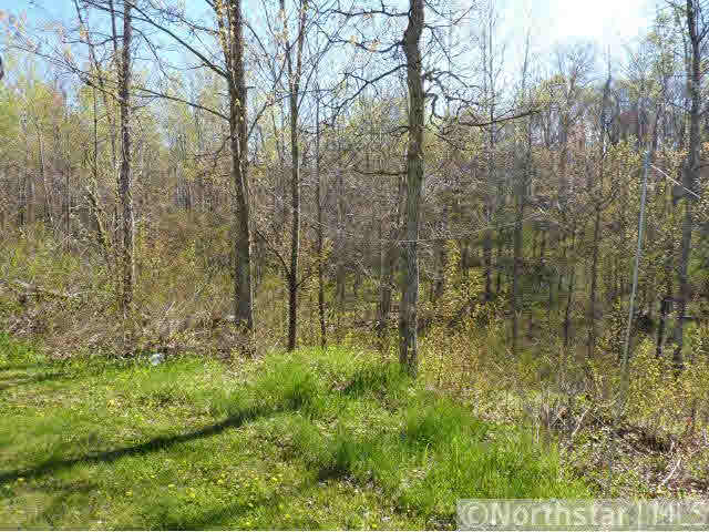 N 10962 Rappley Road Trego, WI 54888 - Photo 12 of 12 Gallery Image 12