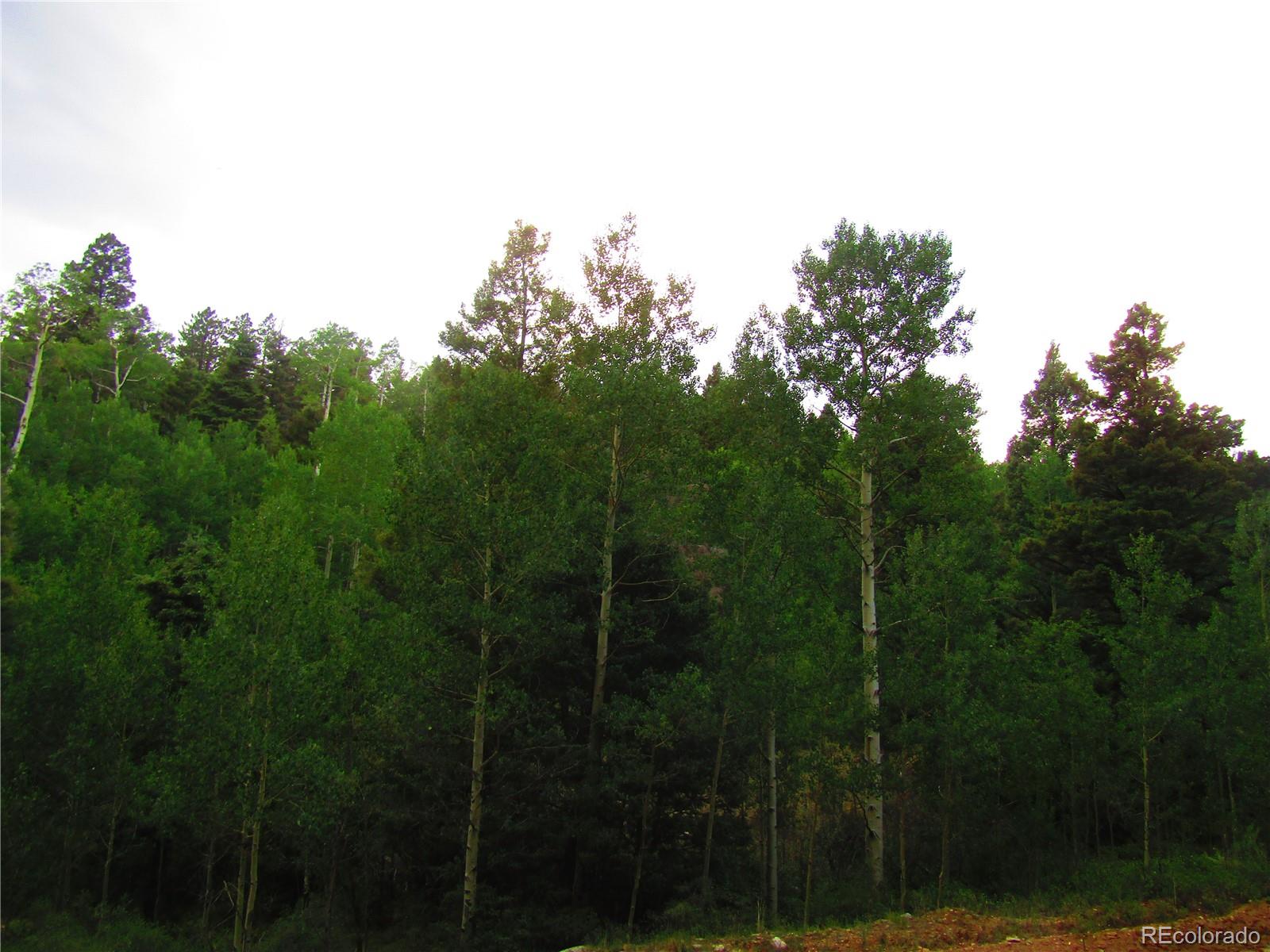 Lot 6461 Jacquez Road San Luis, CO 81152 - Photo 3 of 22
