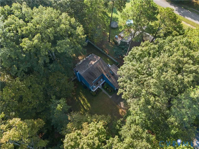 a picture of flowers