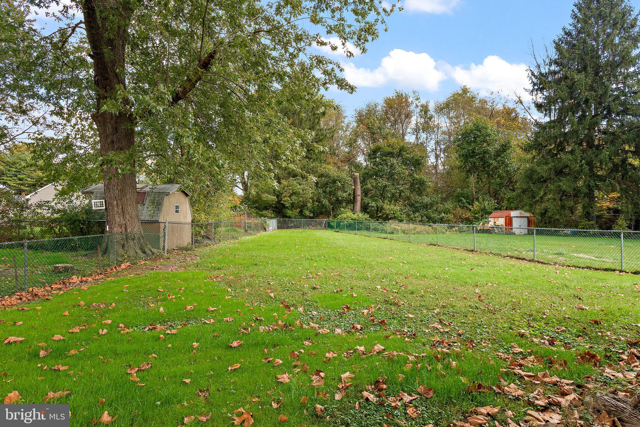 332 Baldwin Road Glassboro, NJ 08028 - Photo 22 of 24 a view of a tree in a yard