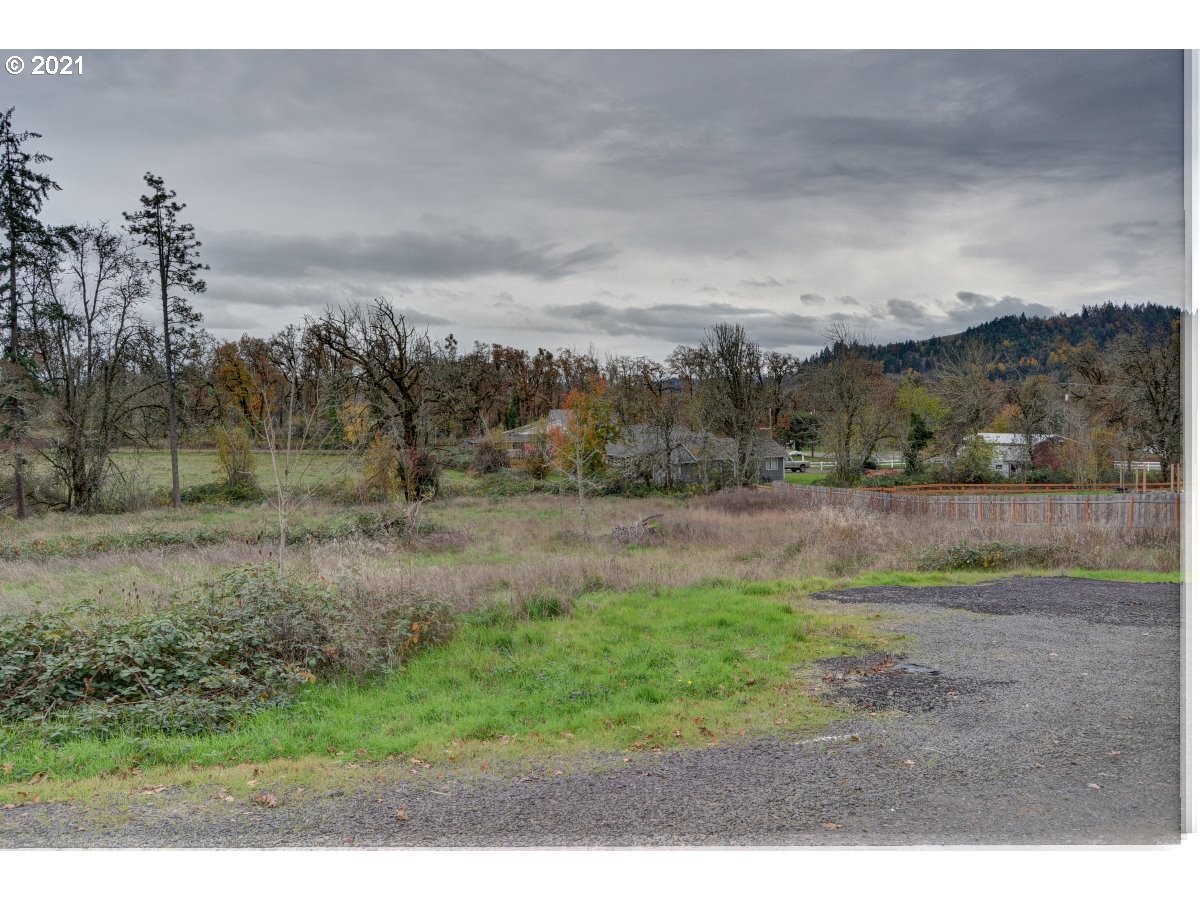 Ash Street, Unit 6 Springfield, OR 97477 - Photo 3 of 5 a view of a yard with an trees