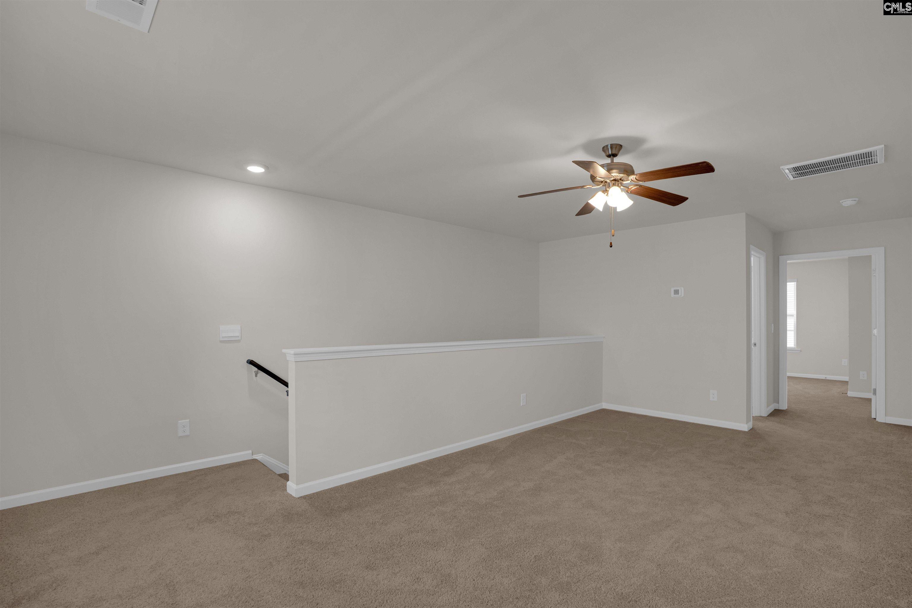 329 Sycamore Crest Way Chapin, SC 29036 - Photo 33 of 43