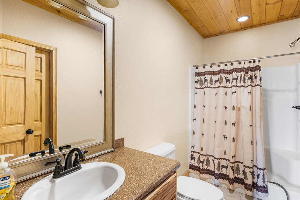 235 Oak Rdg Estate Murphy, NC 28906 - Photo 54 of 64