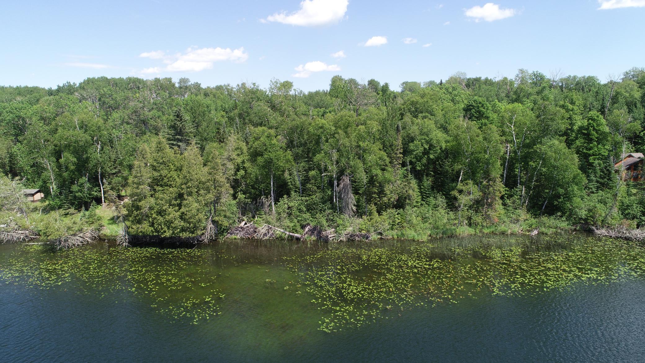Tbd Ridge Road Marcell, MN 56657 - Photo 1 of 1 Gallery Image 1