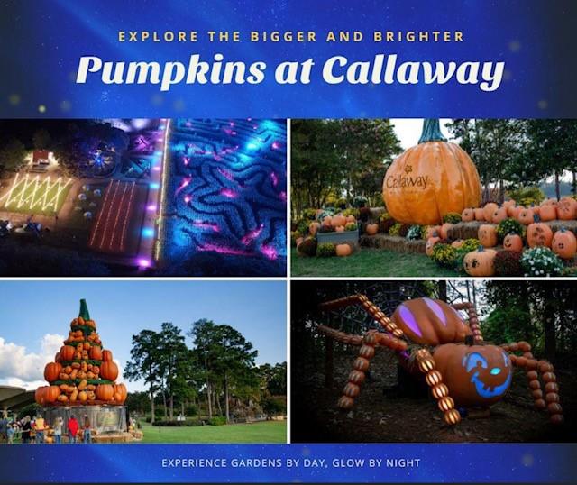 142 Maple Trace Pine Mountain, GA 31822 - Photo 61 of 61