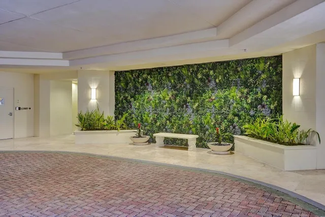 a view of a patio with plants and potted plants