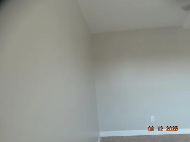 a bathroom with a shower and a toilet