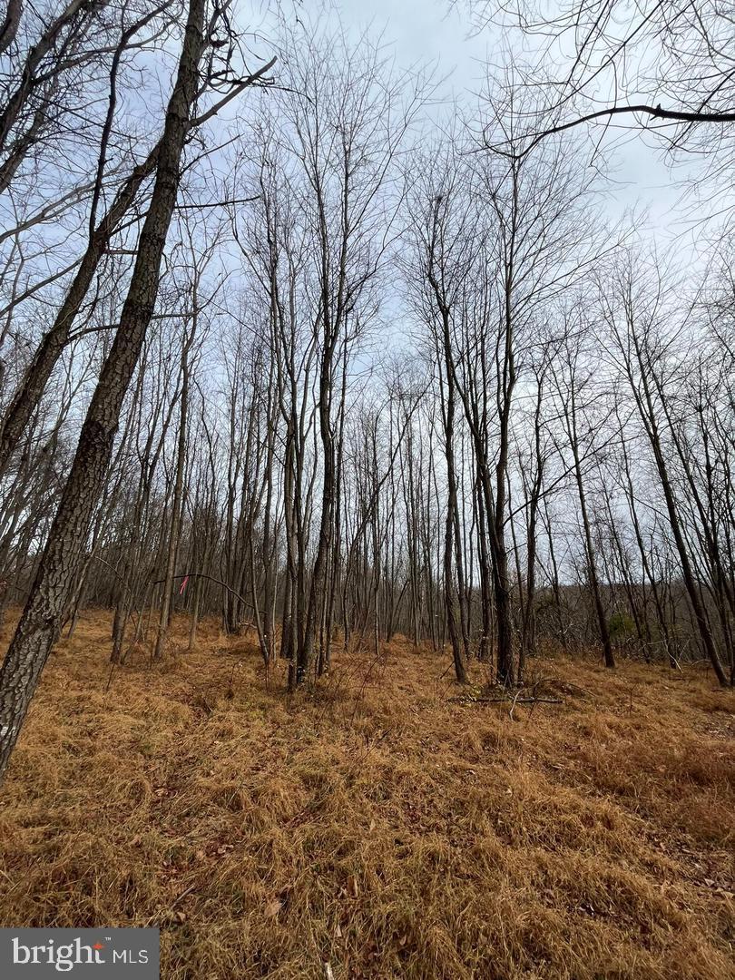 6468 General Drive, Unit WALBERT Mount Airy, MD 21771 - Photo 12 of 15