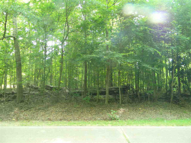 0 Hawes Road Natchez, MS 39120 - Photo 1 of 1 Main View