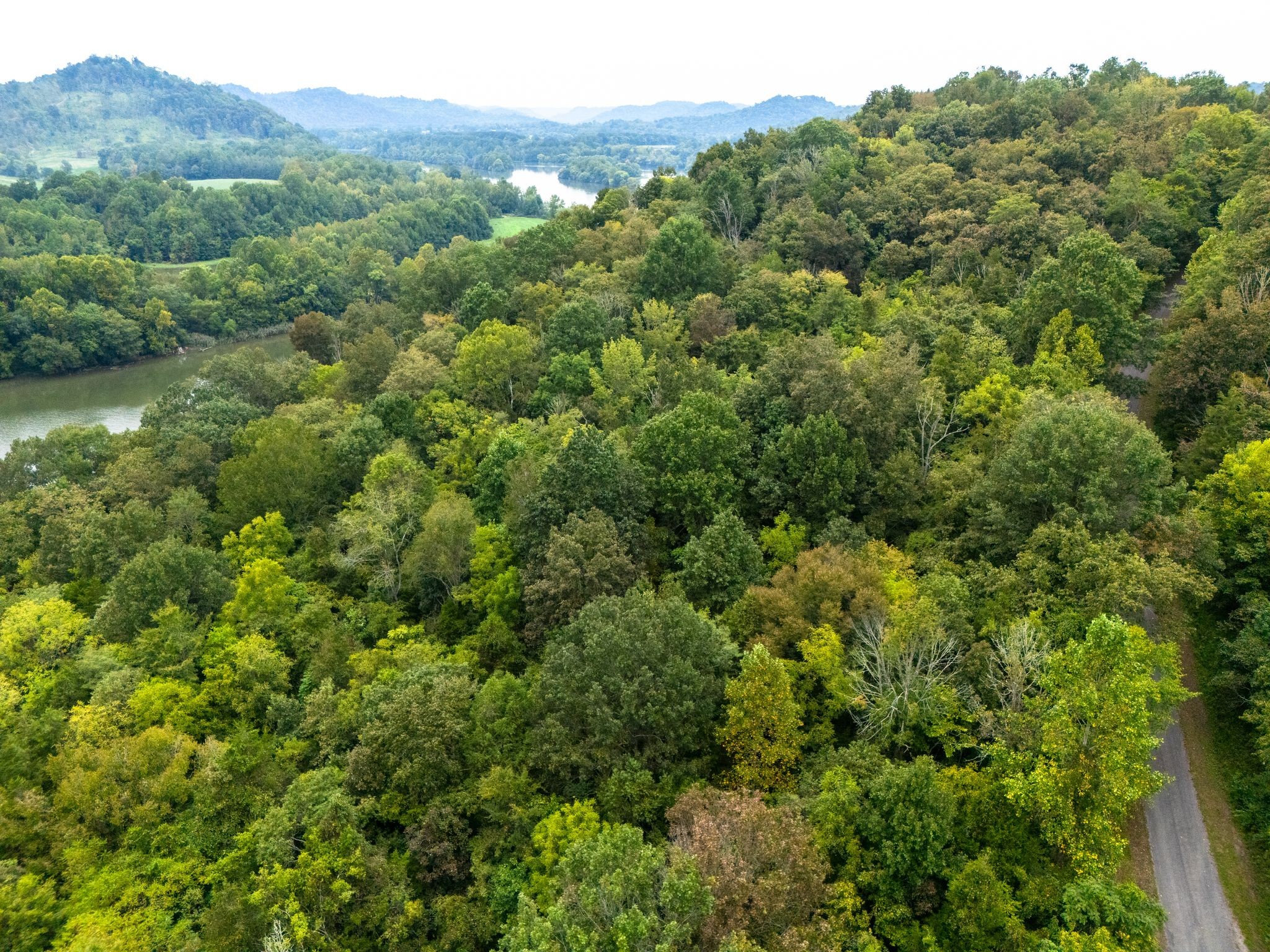 0 Big Branch Road Granville, TN 38564 - Photo 15 of 15 a view of a forest with a street