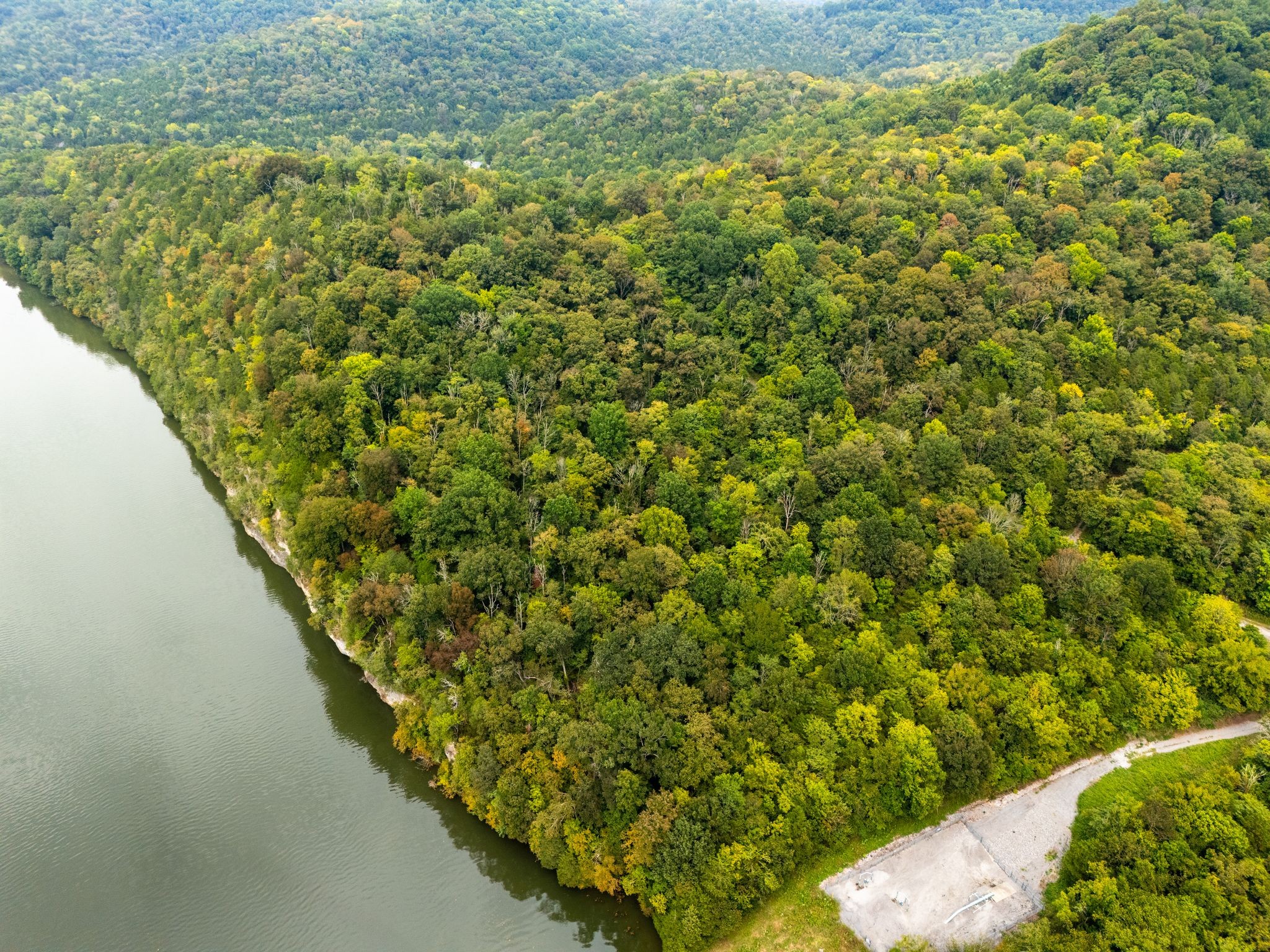 0 Big Branch Road Granville, TN 38564 - Photo 7 of 15 a view of a garden from a balcony