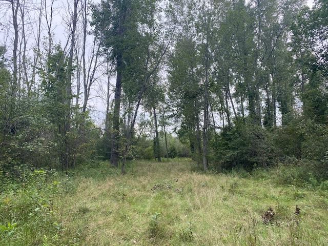 2877 Klender Road Rhodes, MI 48652 - Photo 21 of 27