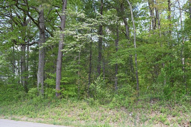 5.05-ac Reece Road Chuckey, TN 37641 - Photo 1 of 24 DSC_0907